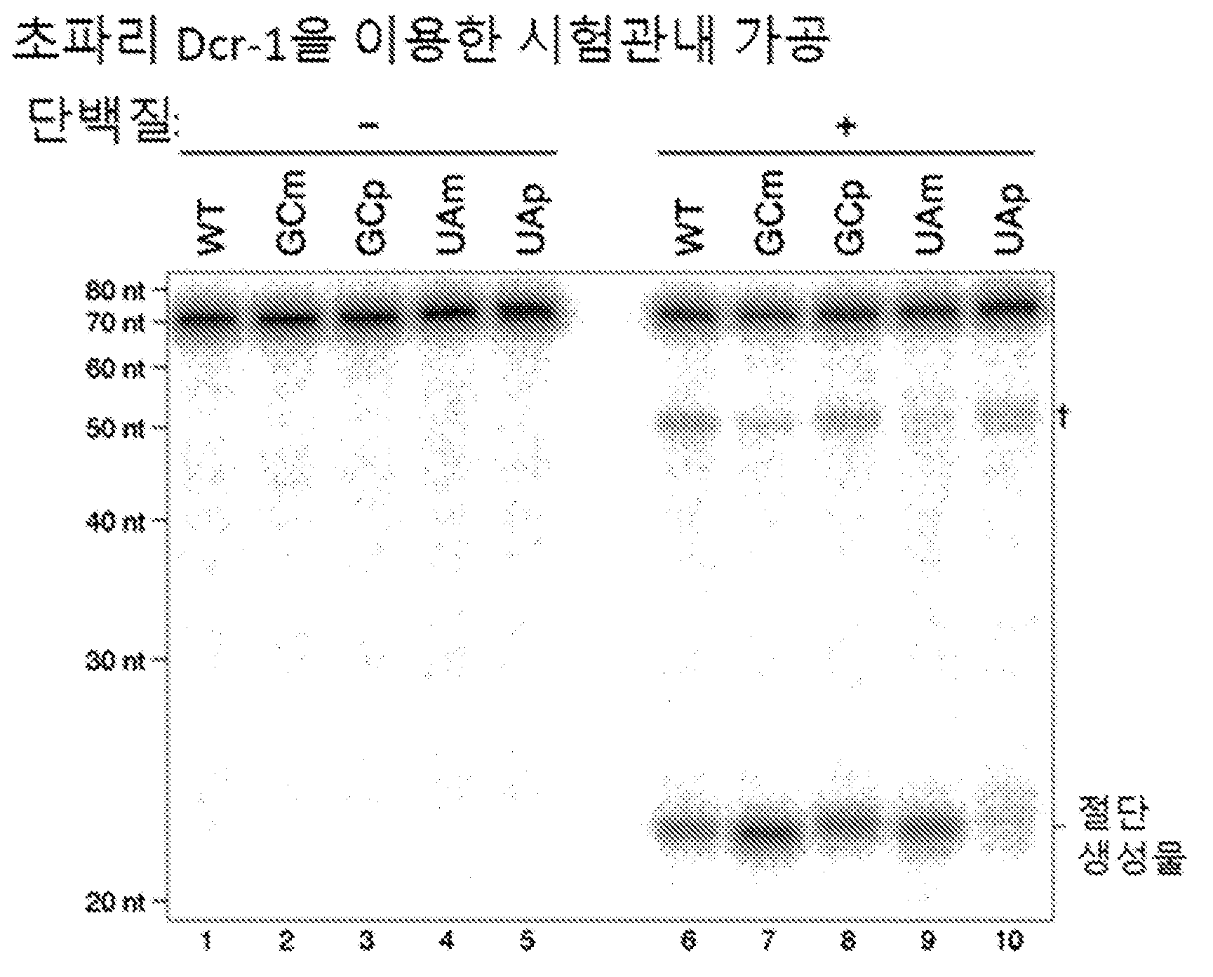 특허 도면 84