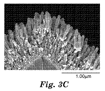 Figure 2015506554
