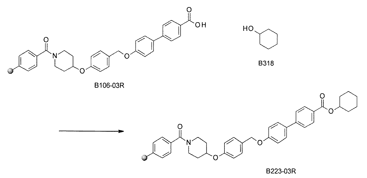 Figure JPOXMLDOC01-appb-C000564