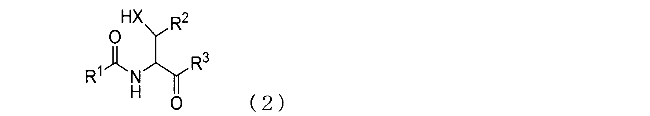 Figure JPOXMLDOC01-appb-C000031