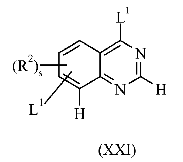 Figure imgb0024