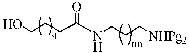 Figure imgb0010