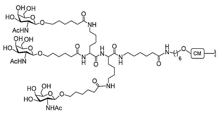 Figure 2022017514000186