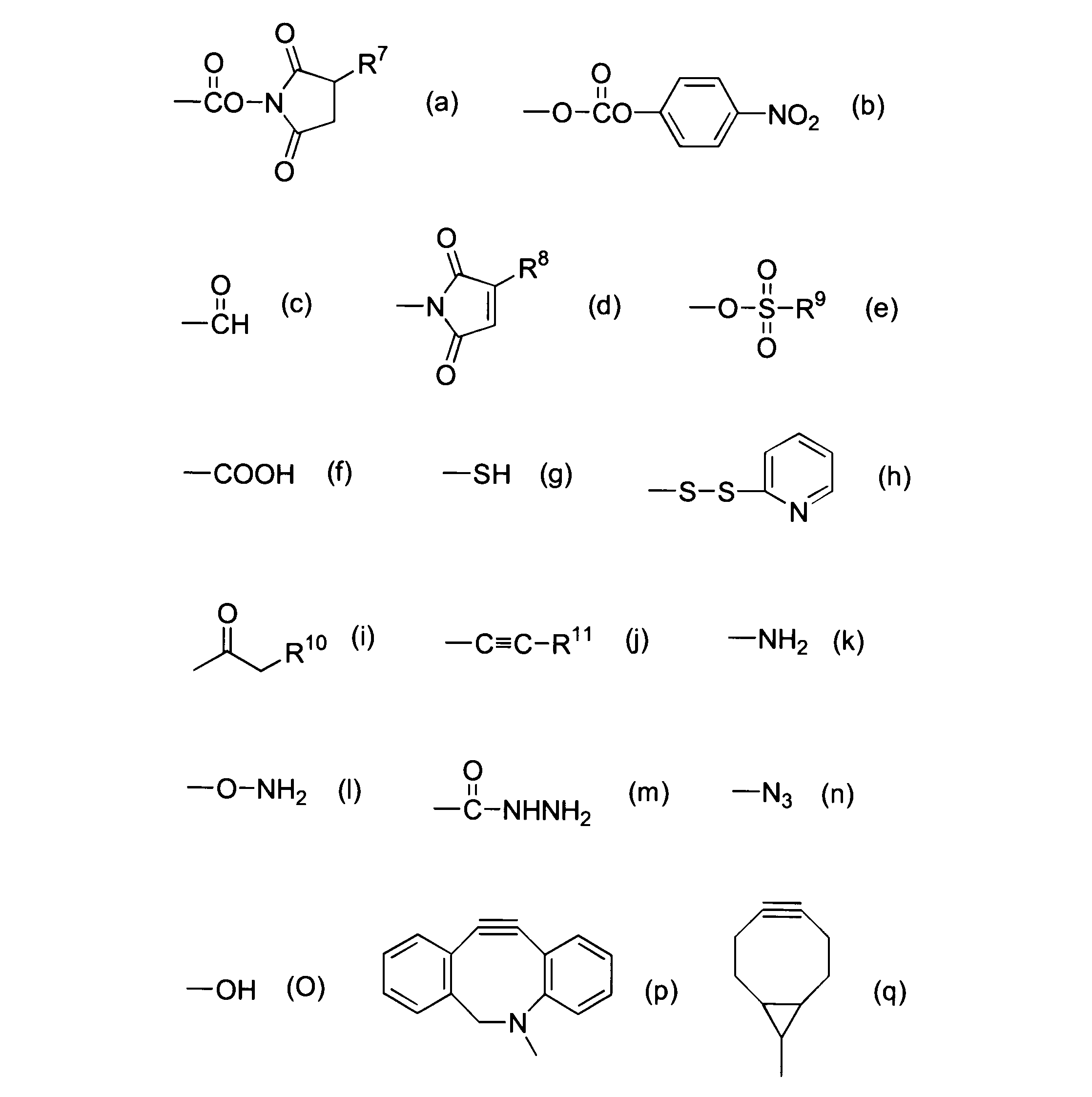Figure JPOXMLDOC01-appb-C000025
