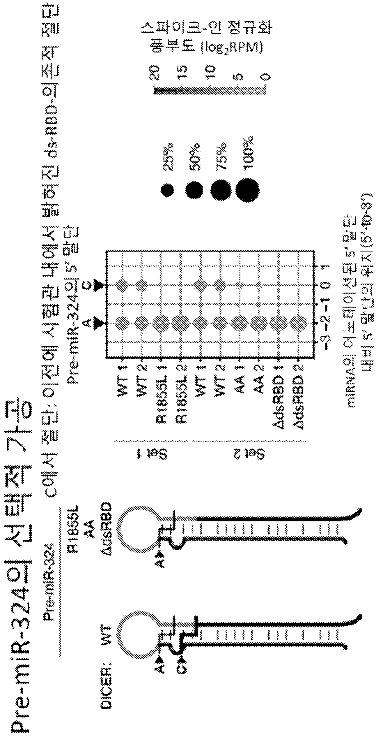 특허 도면 126