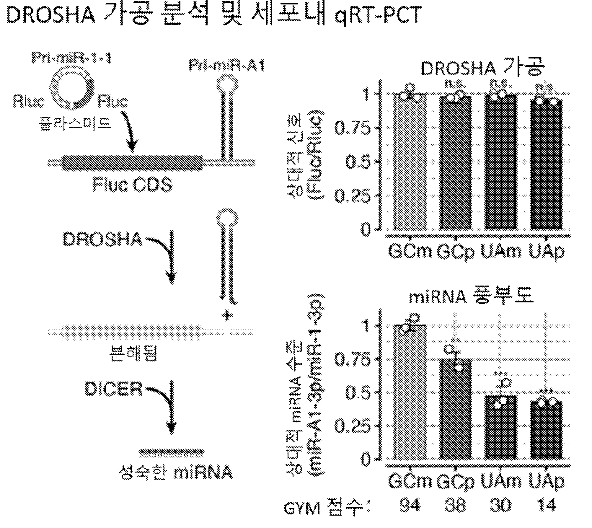 특허 도면 80