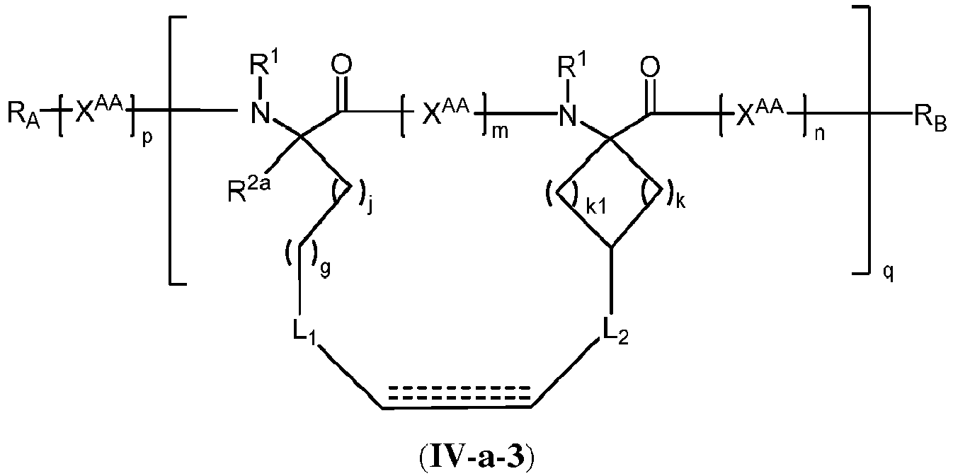 Figure imgb0133