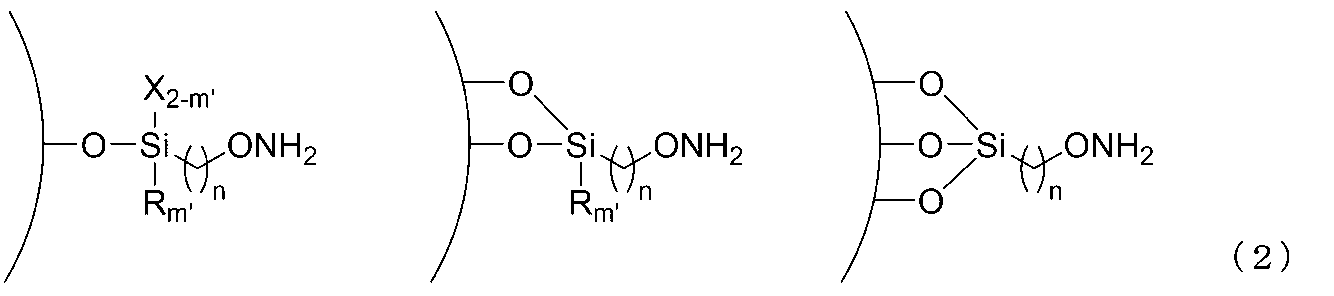 Figure JPOXMLDOC01-appb-C000003