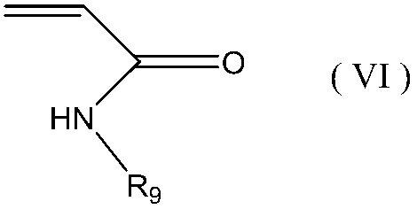 Figure JPOXMLDOC01-appb-C000017