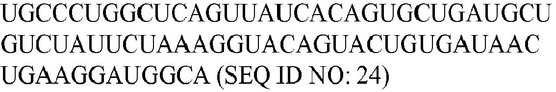 Figure imgb0024