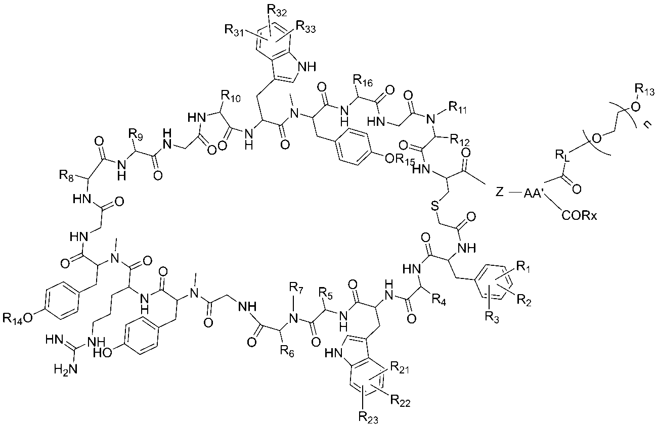 Figure JPOXMLDOC01-appb-C000062