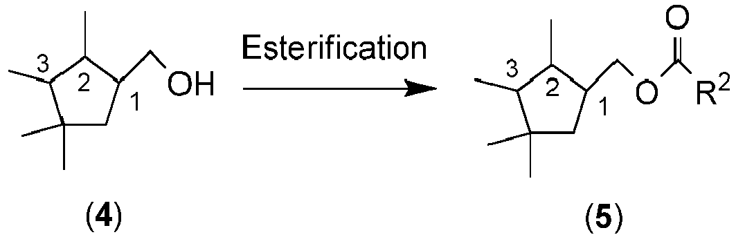 Figure imgb0031