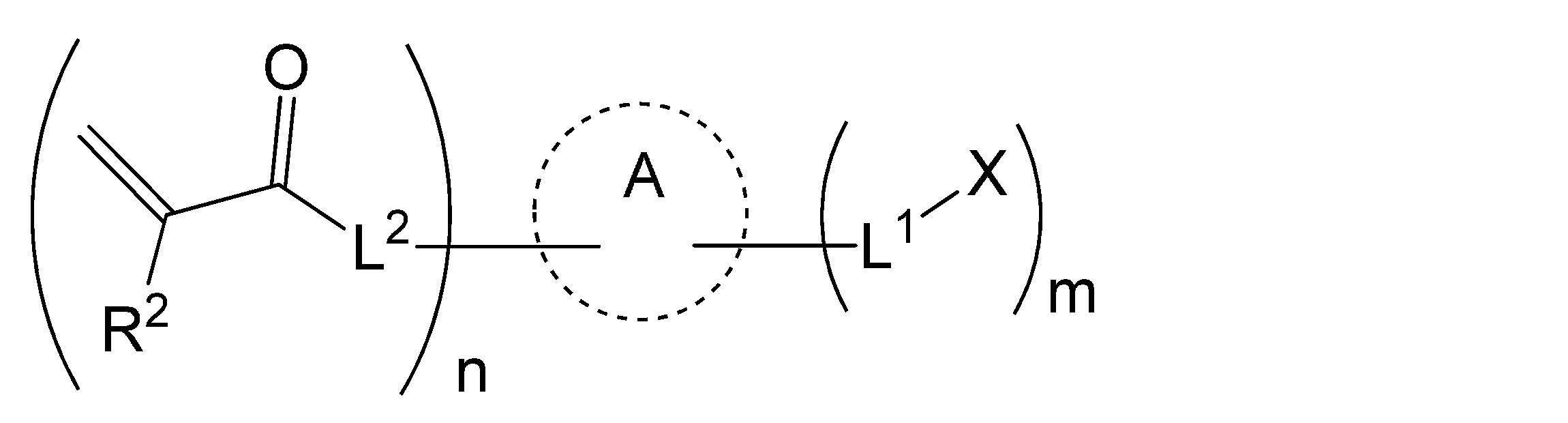 Figure JPOXMLDOC01-appb-C000003