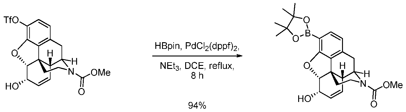 Figure imgf000262_0001