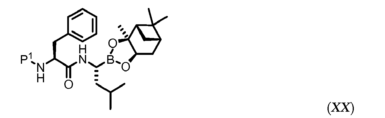 Figure imgb0029