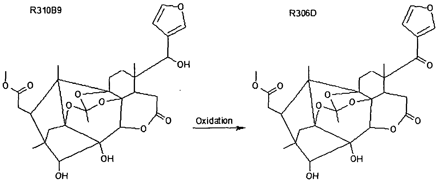 Figure imgf000053_0001