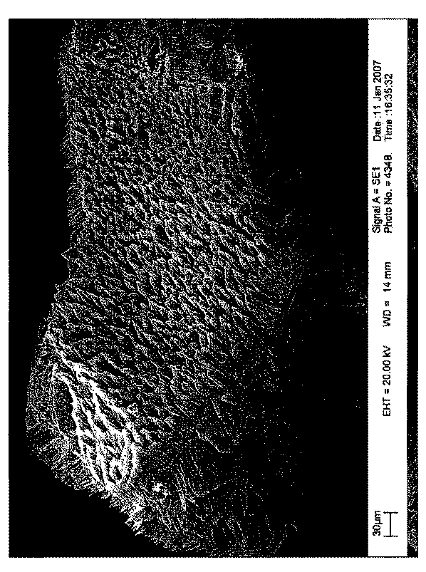 Figure 2012114091