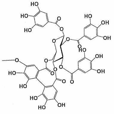 Figure JPOXMLDOC01-appb-C000036