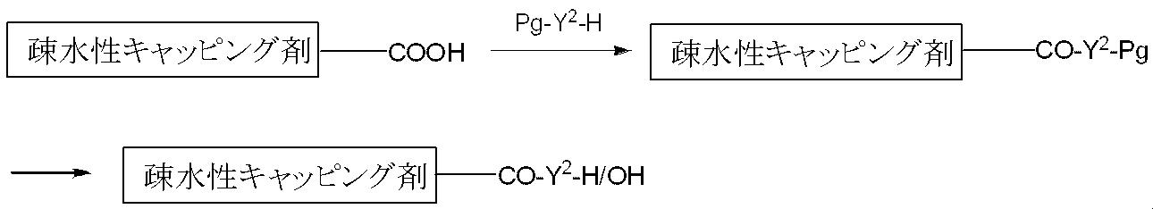 Figure JPOXMLDOC01-appb-C000018
