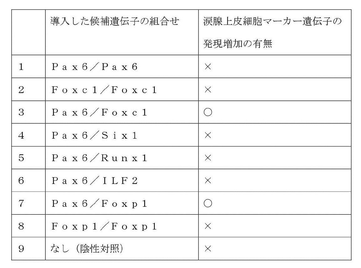 Figure JPOXMLDOC01-appb-T000002