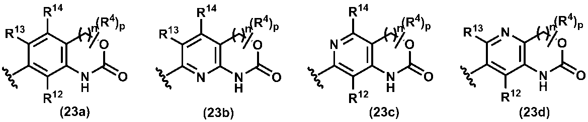Figure JPOXMLDOC01-appb-C000022