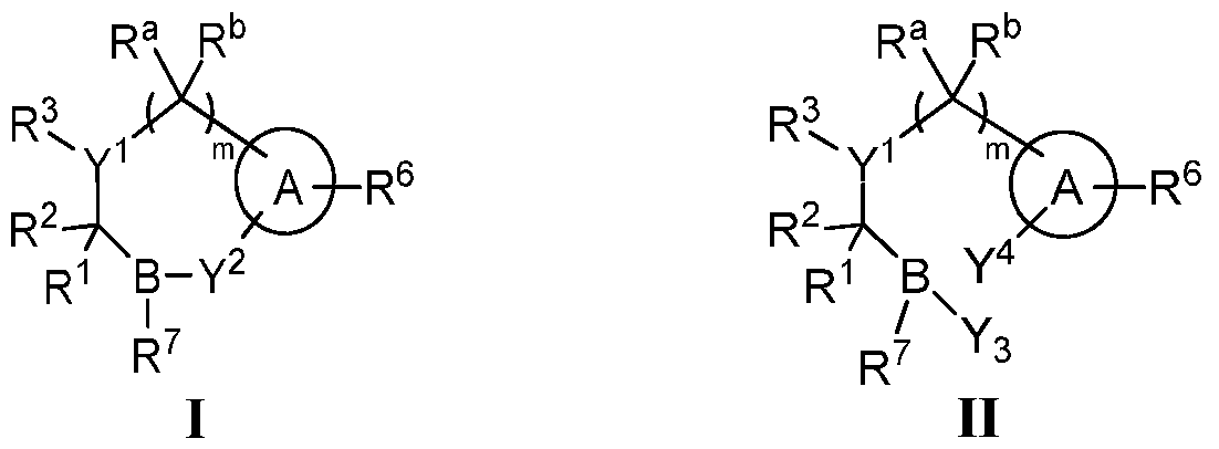Figure imgf000004_0001