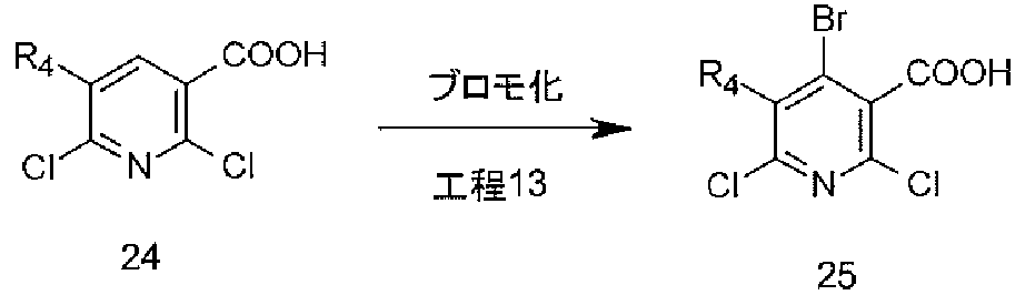 Figure JPOXMLDOC01-appb-C000014