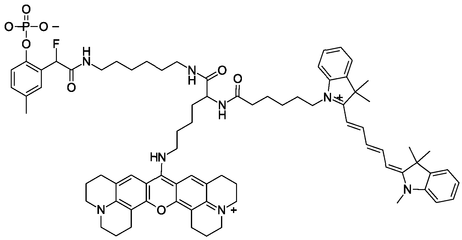 Figure imgf000011_0001