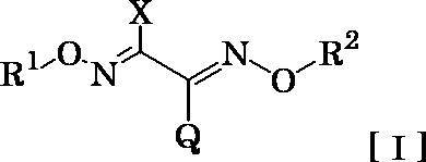 Figure JPOXMLDOC01-appb-C000029