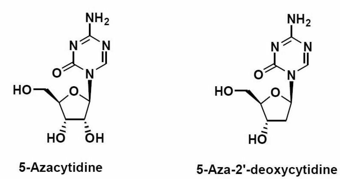 Figure JPOXMLDOC01-appb-I000002