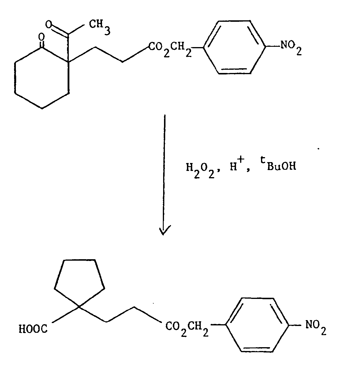 Figure imgb0011