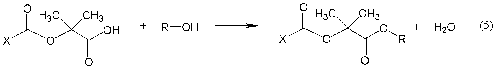 Figure JPOXMLDOC01-appb-C000009