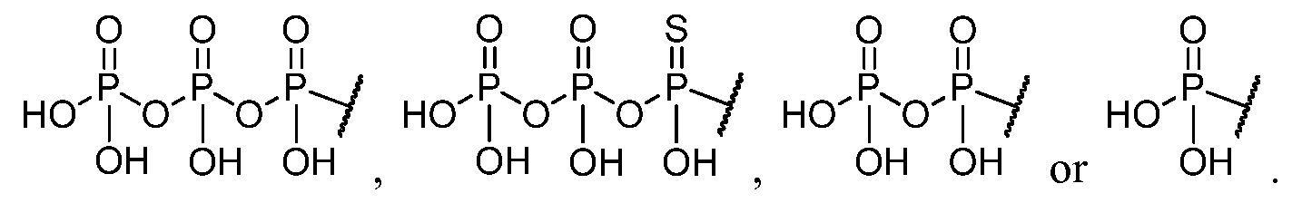 Figure imgf000048_0003