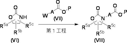 Figure JPOXMLDOC01-appb-C000019