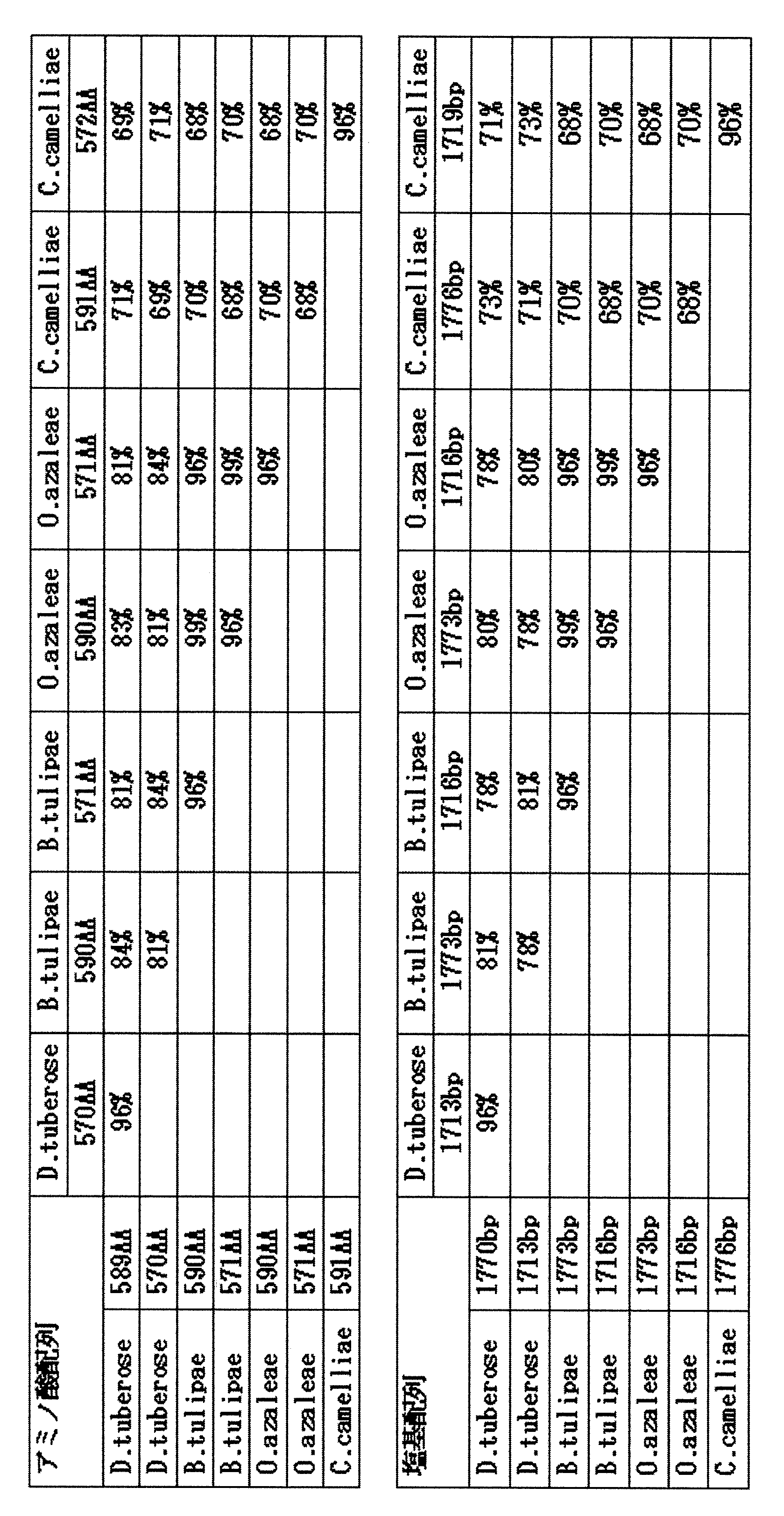 Figure JPOXMLDOC01-appb-T000007