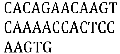 Figure imgb0022