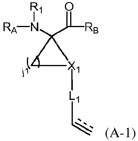 Figure imgb0167