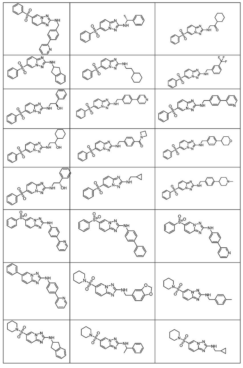 Figure pct00025