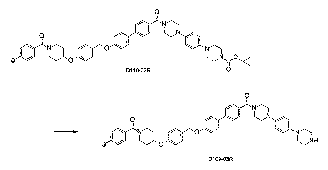 Figure JPOXMLDOC01-appb-C000250