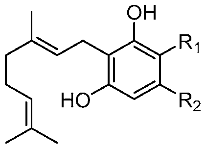 Figure imgf000077_0003