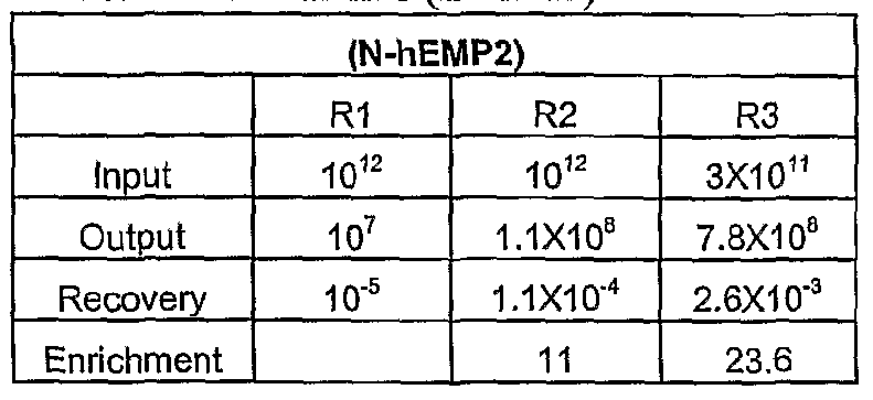 Figure imgf000053_0001