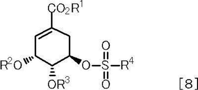 Figure JPOXMLDOC01-appb-C000010