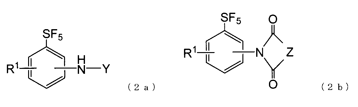 Figure JPOXMLDOC01-appb-C000002