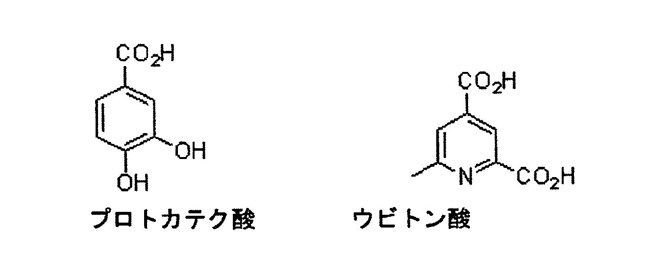 Figure JPOXMLDOC01-appb-C000002