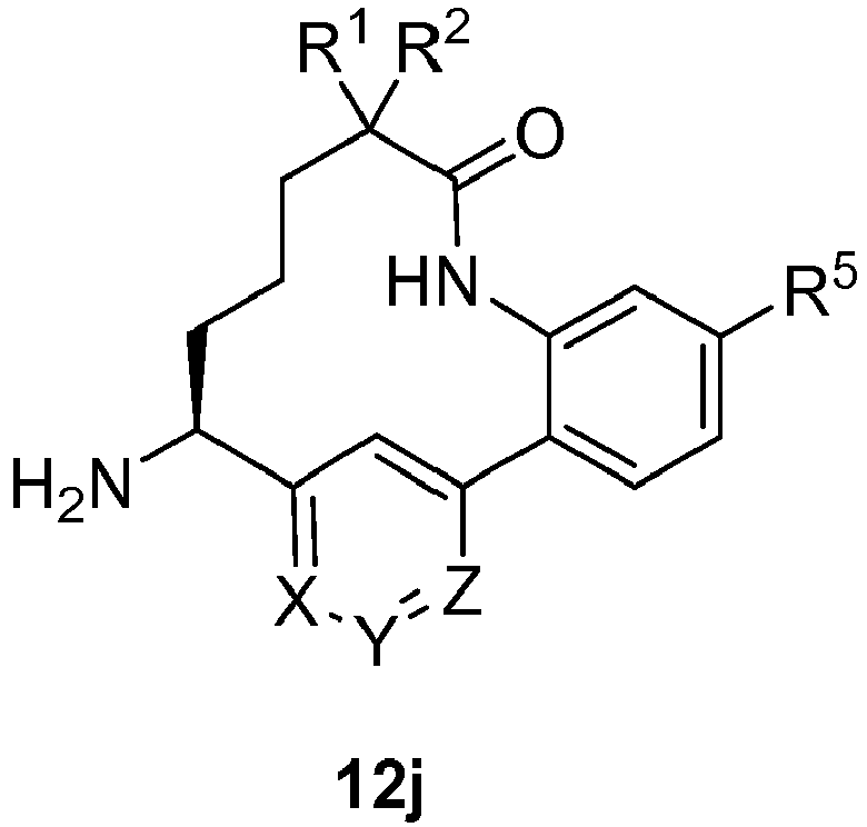 Figure imgb0312