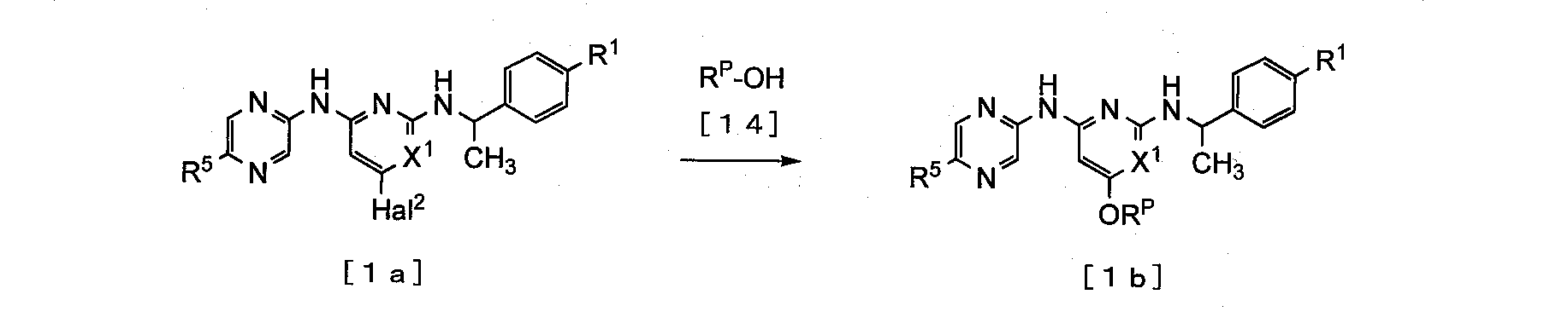 Figure JPOXMLDOC01-appb-C000045