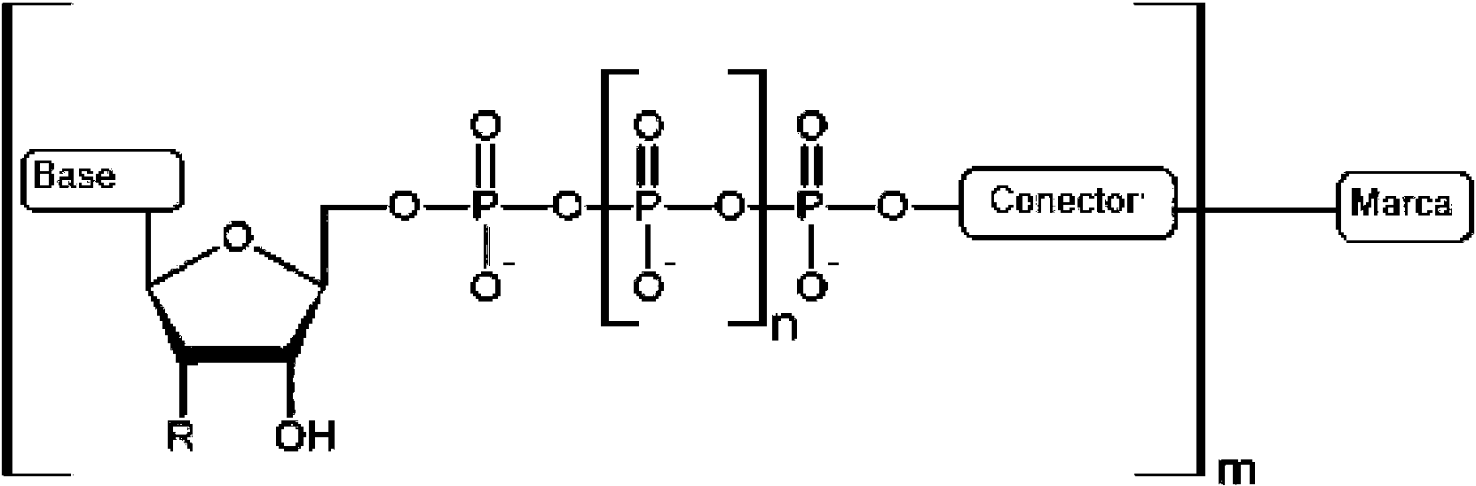 Figure imgf000040_0001