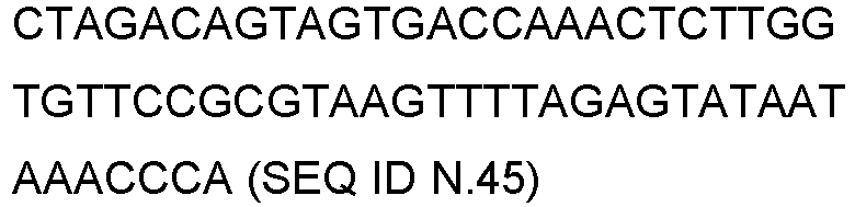 Figure imgb0045