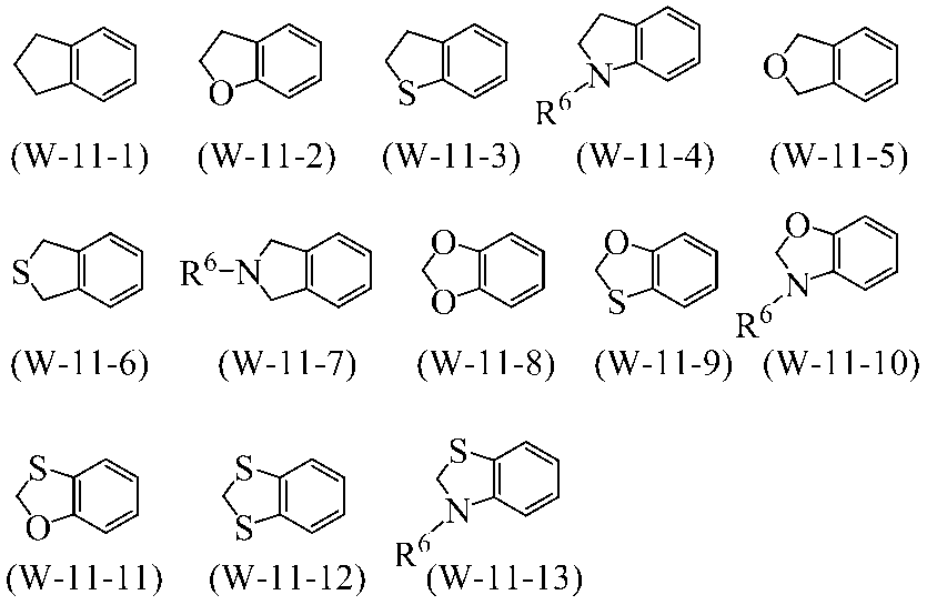 Figure JPOXMLDOC01-appb-C000025
