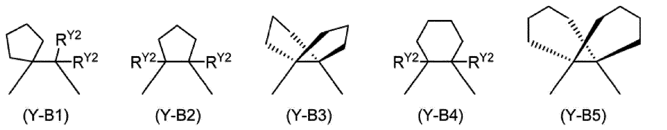 Figure JPOXMLDOC01-appb-C000101